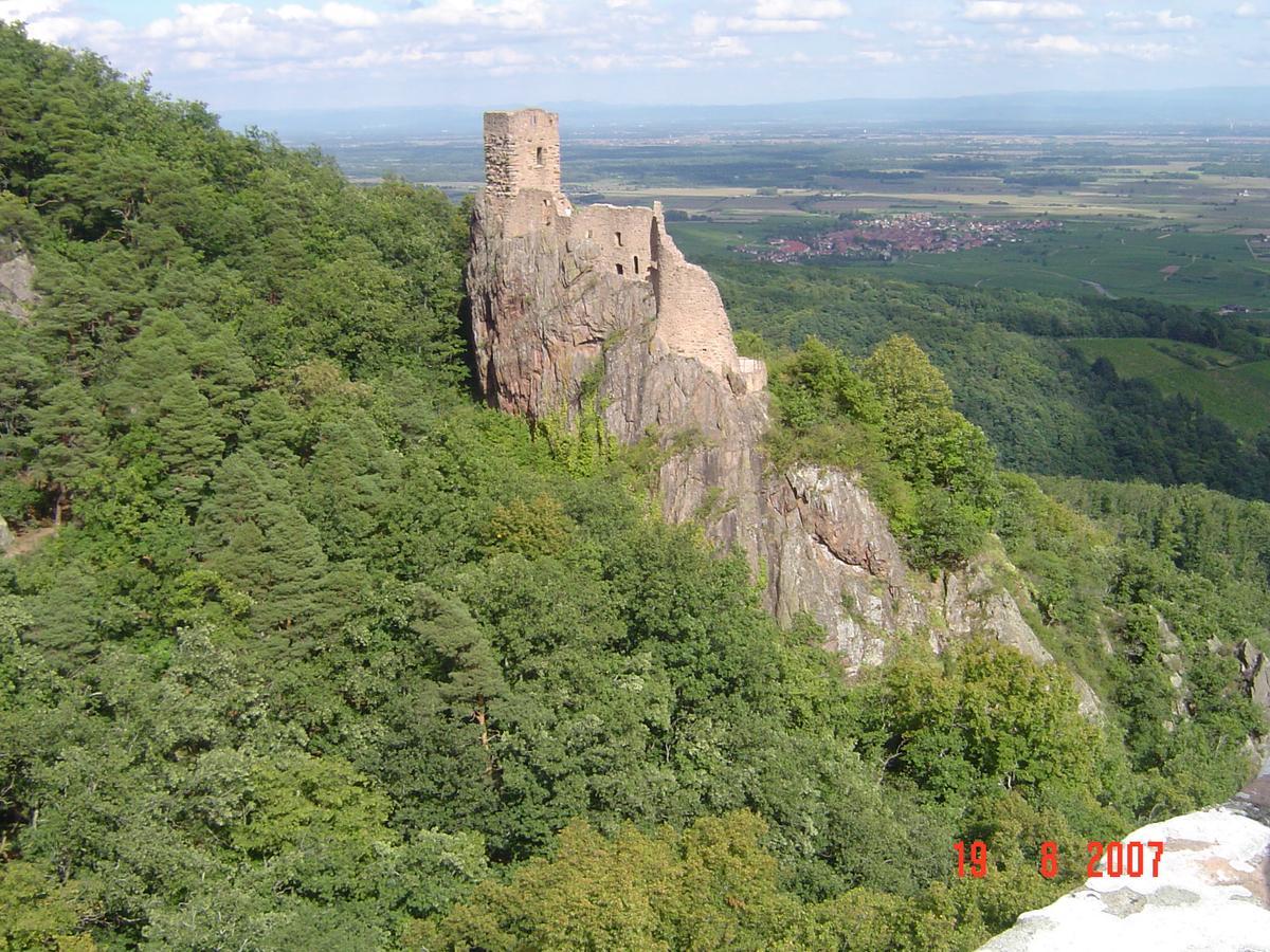 Gites & Camping On The Route Des Vins Бергхейм Экстерьер фото